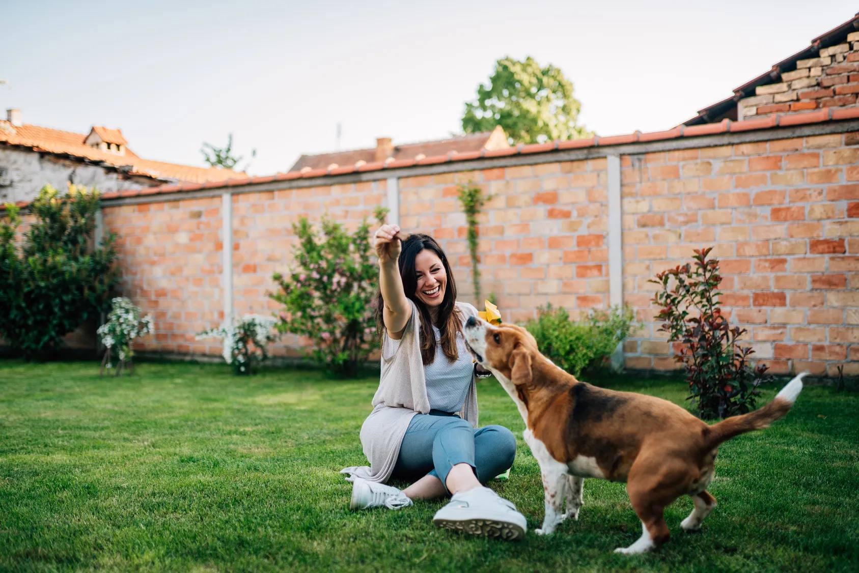 I segnali che dimostrano che il cane &egrave; felice